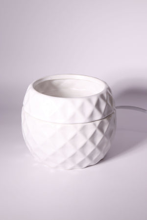 
                  
                    Electric Wax Warmer
                  
                